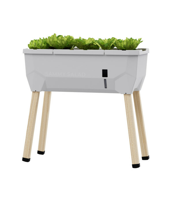 Bild 1 von Gusta Garden Mini-Hochbeet Sammy Salad, ca. B79/H75/T37,5 cm