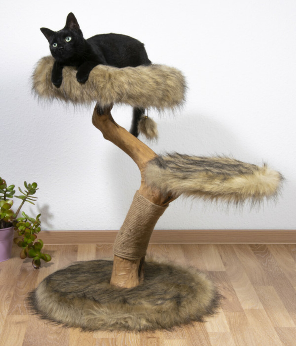 Bild 4 von Dobar petlife Design-Kratzbaum Jimmy, braun, ca. B50/H78/T50 cm