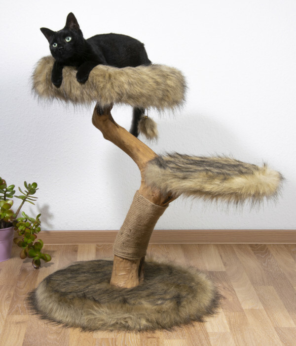 Bild 4 von Dobar petlife Design-Kratzbaum Jimmy, braun, ca. B50/H78/T50 cm