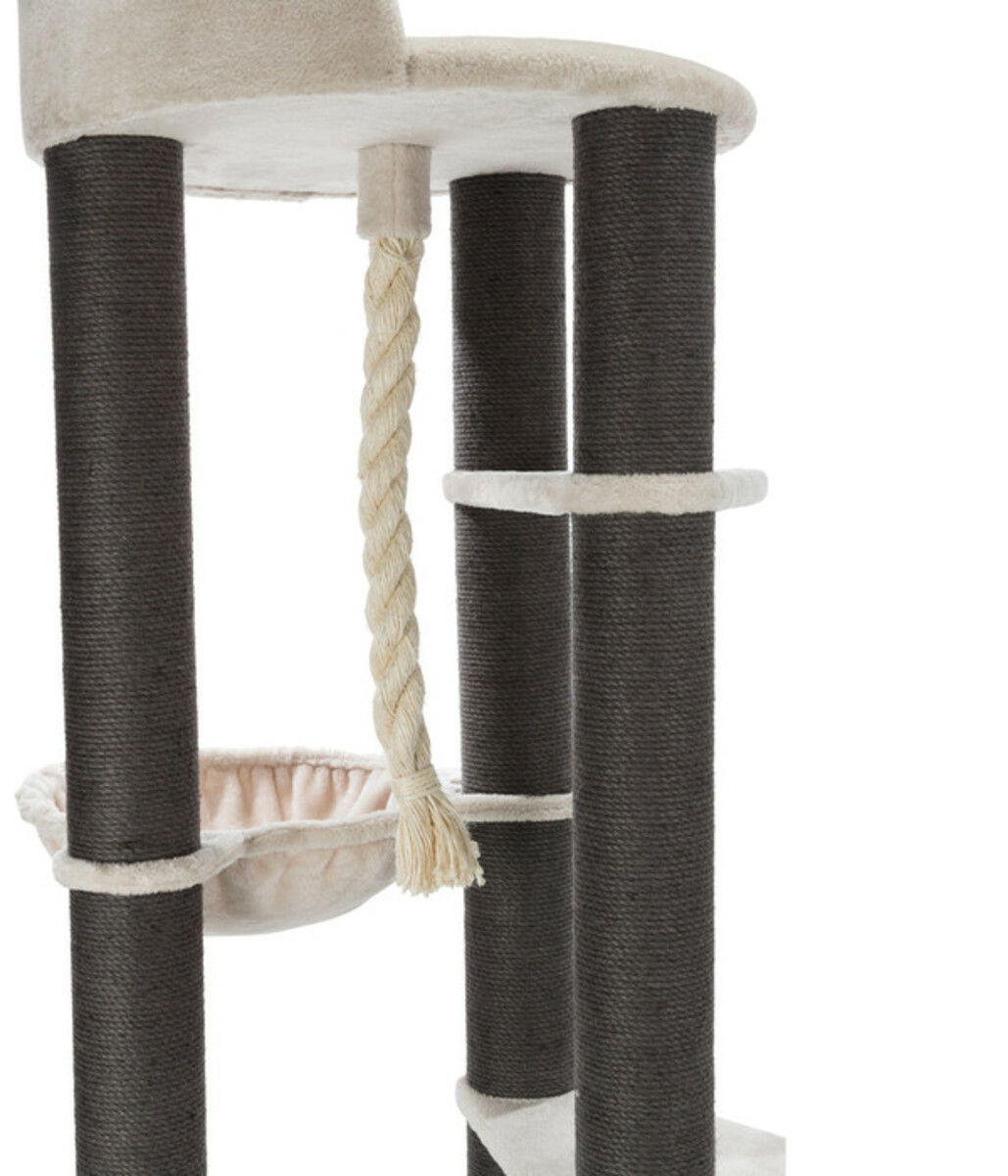 Bild 4 von Trixie Kratzbaum XXL Tomás, hellgrau, ca. Ø58/H163 cm