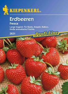 Erdbeeren Fresca