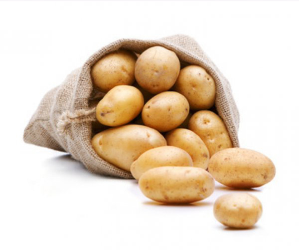 Bild 1 von Kartoffeln Afra (Speisekartoffeln)