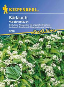 Bärlauch Waldknoblauch Allium ursinum