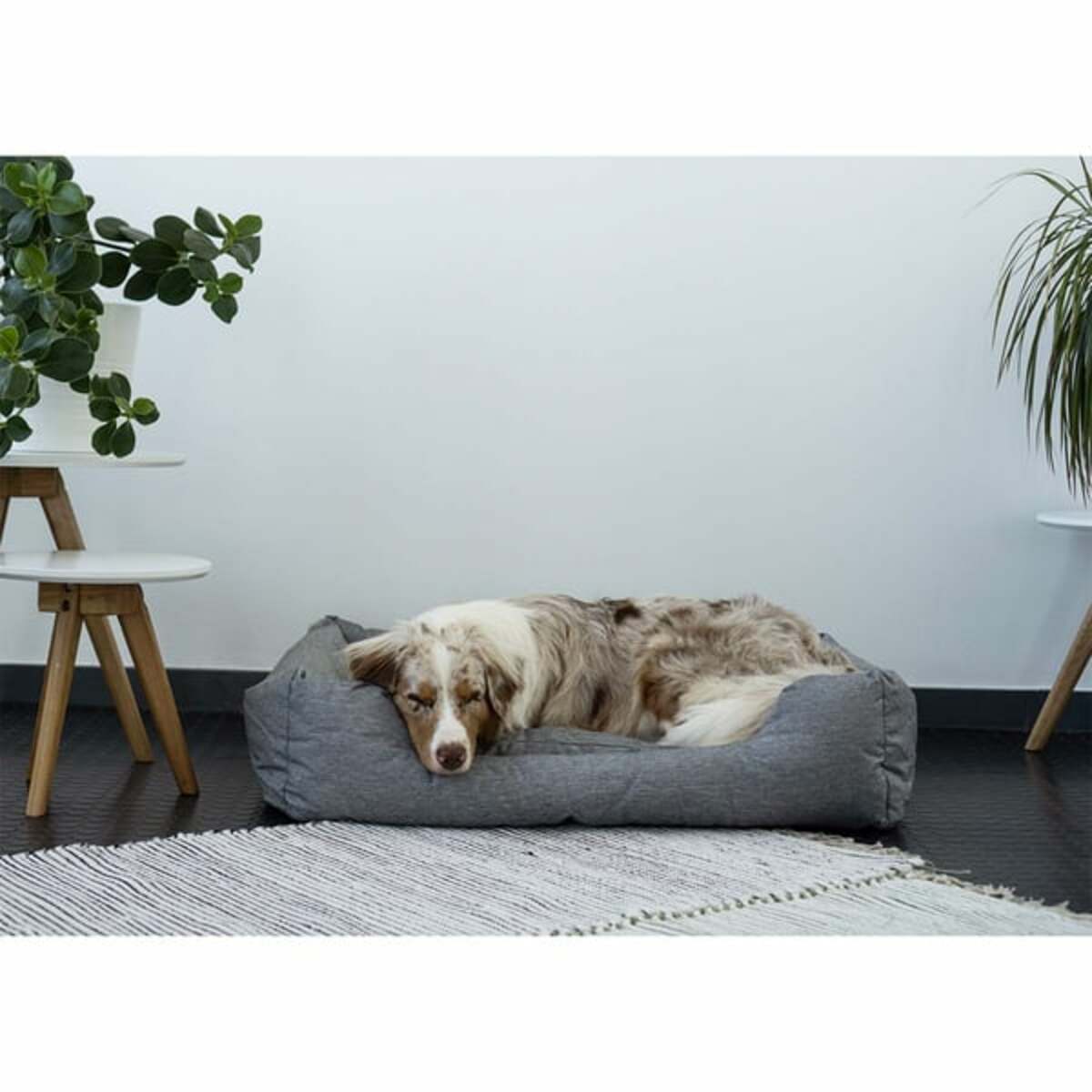 Bild 4 von ZooRoyal In- & Outdoor Haustierbett Sam 90x70cm grau