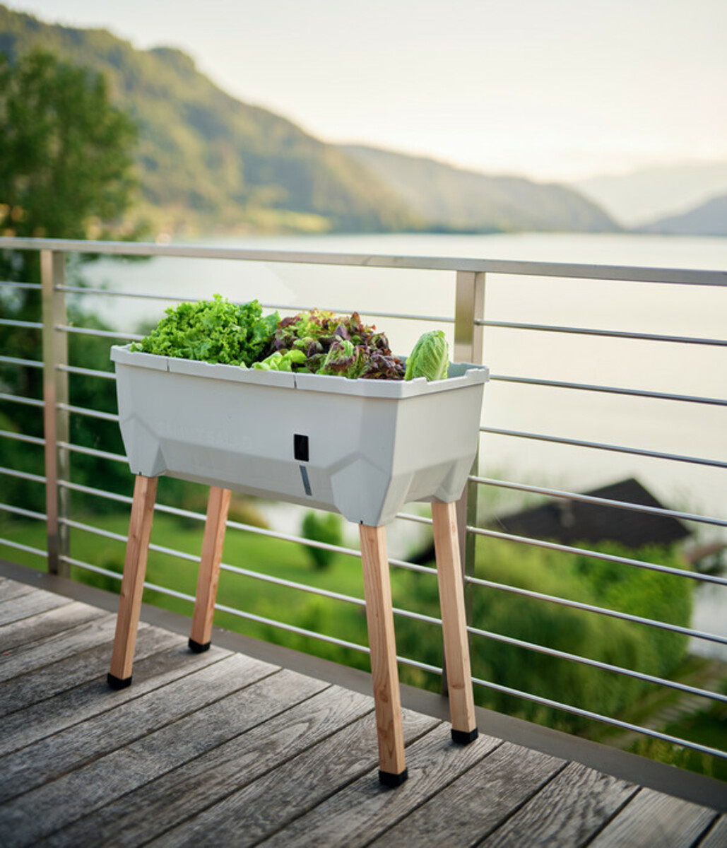 Bild 2 von Gusta Garden Mini-Hochbeet Sammy Salad, ca. B79/H75/T37,5 cm