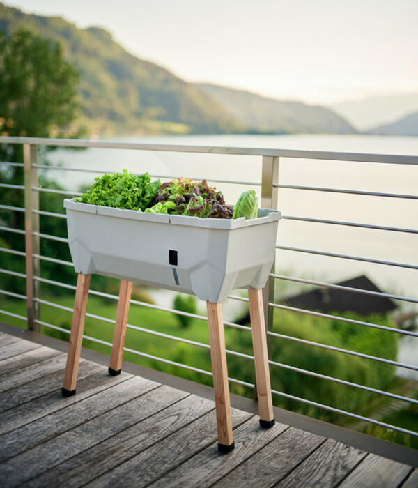 Bild 2 von Gusta Garden Mini-Hochbeet Sammy Salad, ca. B79/H75/T37,5 cm