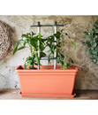 Bild 4 von Gusta Garden Paprika-Rankhilfe Chili Buddy, ca. B34/H64/T19 cm