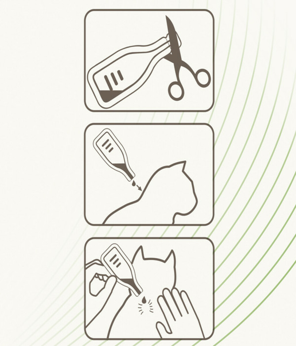 Bild 4 von beaphar Zecken- & Flohschutz SPOT-ON für Katzen, 3x0,8 ml