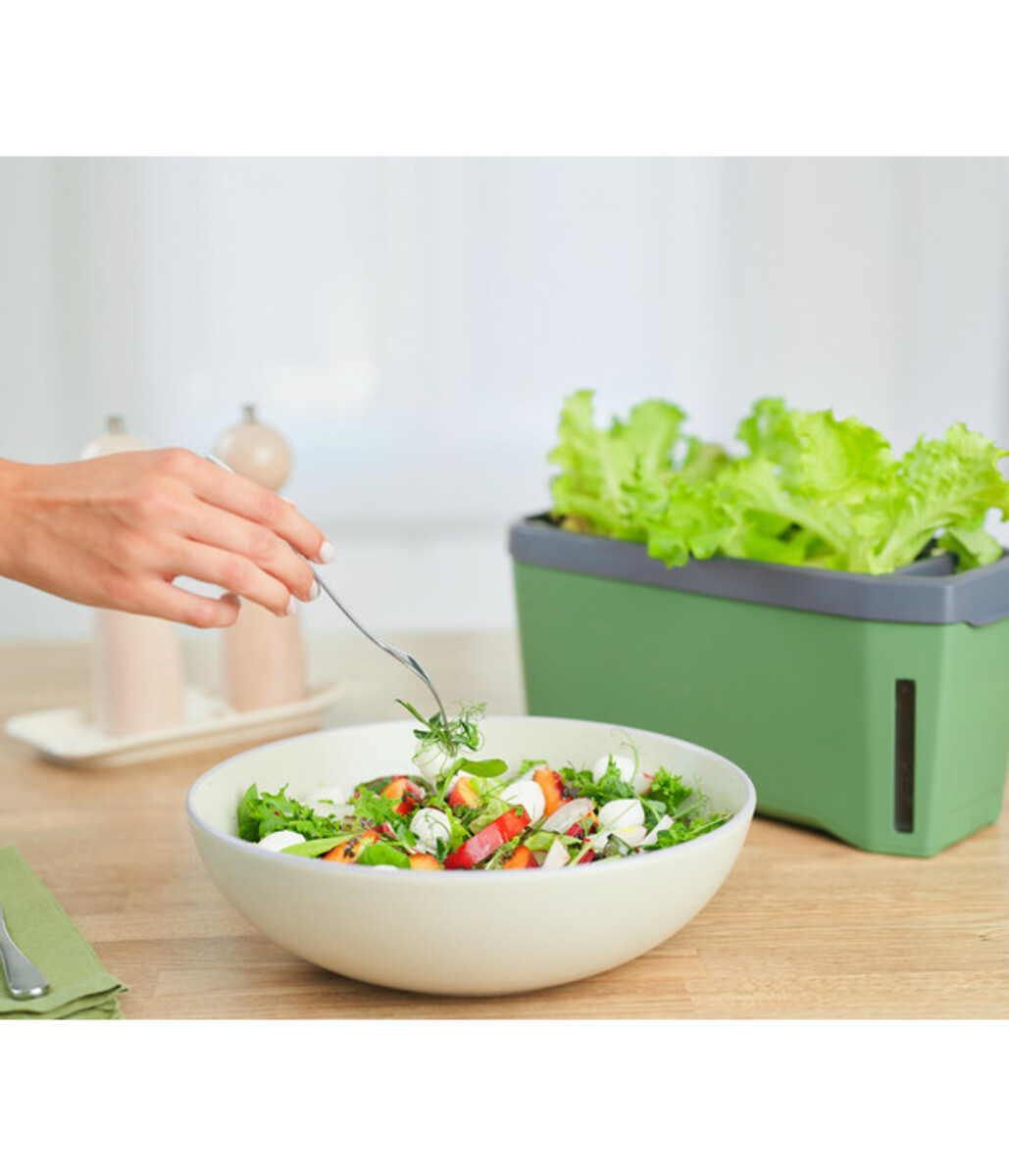 Bild 4 von Gusta Garden Kräutertopf Harry Herbs, ca. B36/H16/T15 cm