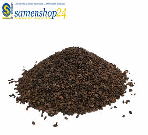 Samenshop24® Esparsette Ambra Futterpflanze Gründünger 1kg