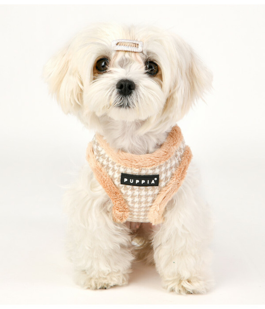 Bild 2 von puppia® Hundegeschirr Shepherd B