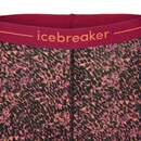 Bild 4 von Icebreaker
              
                 200 OASIS LEGGINGS LICHEN Damen - Leggings