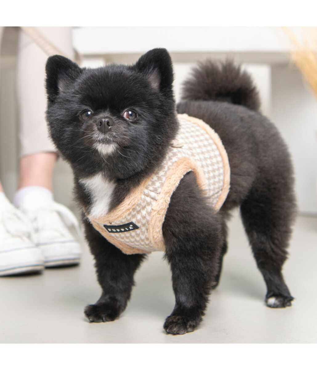 Bild 4 von puppia® Hundegeschirr Shepherd B