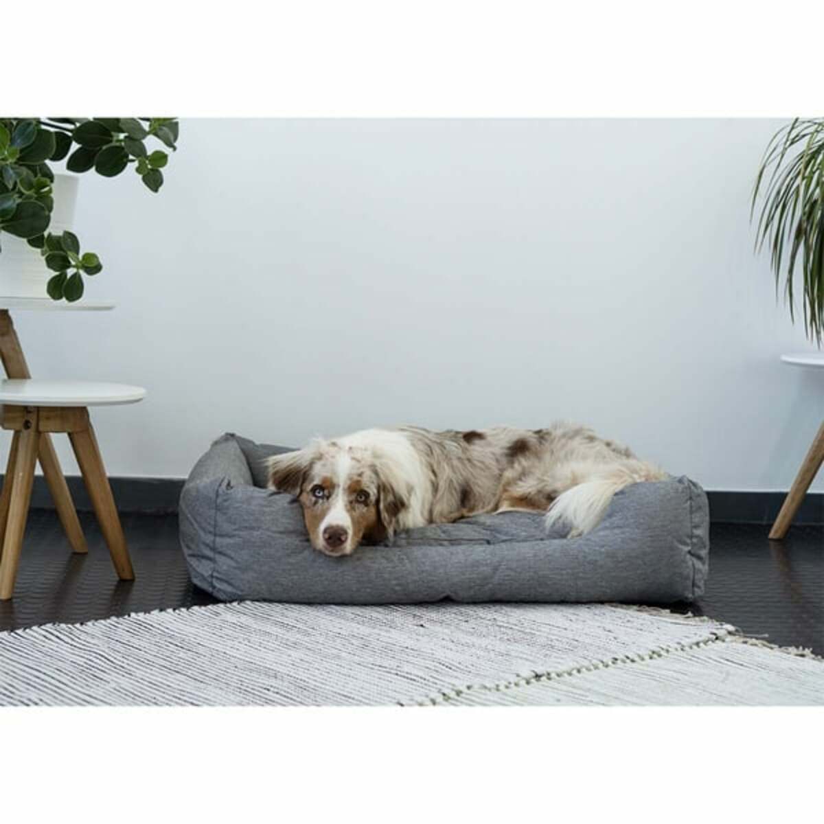Bild 3 von ZooRoyal In- & Outdoor Haustierbett Sam 90x70cm grau