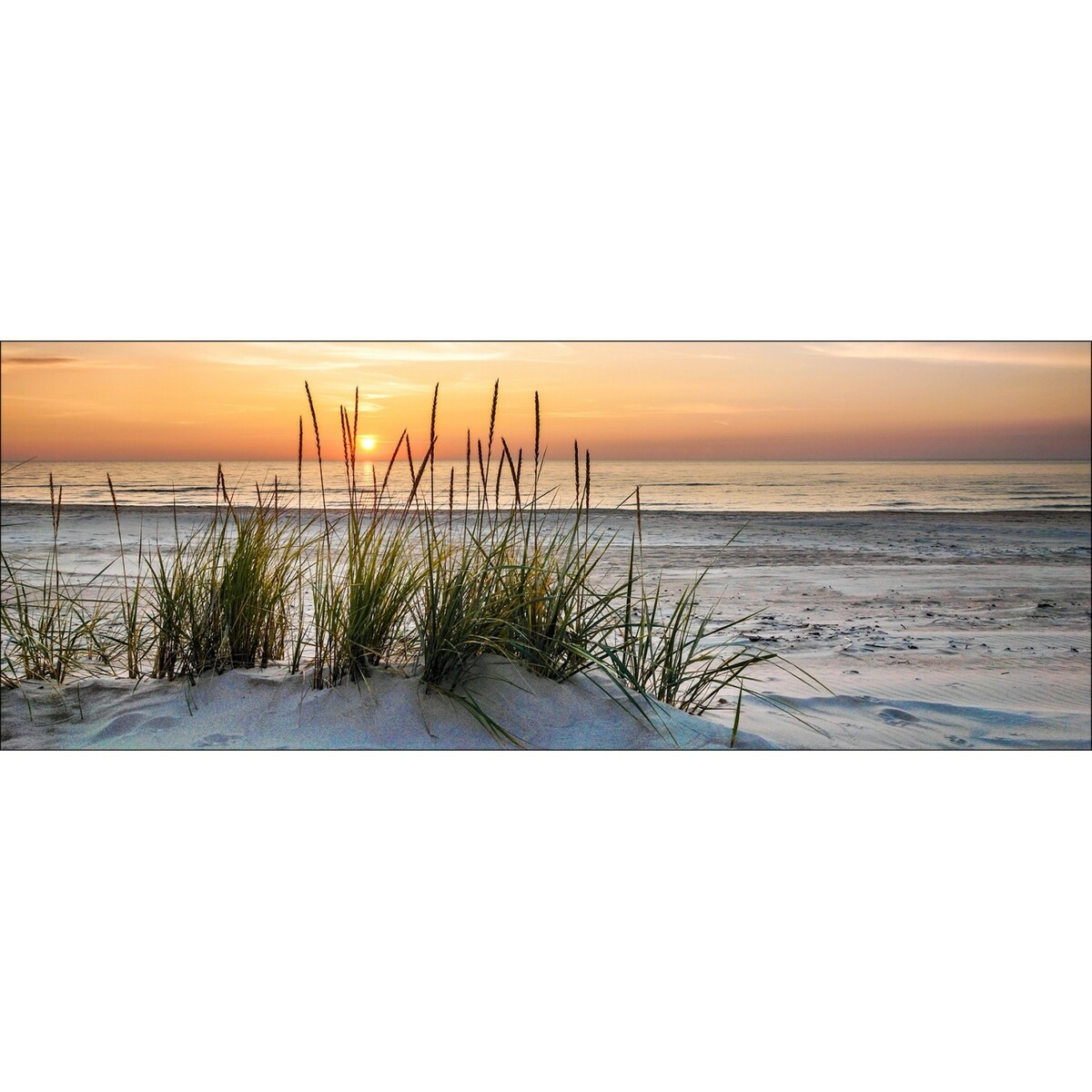 Bild 1 von Glas-Art Lonely Dune 30 cm x 80 cm