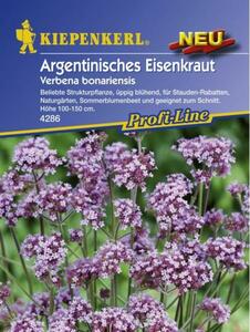 Verbena bonariensis Argentinisches Eisenkraut