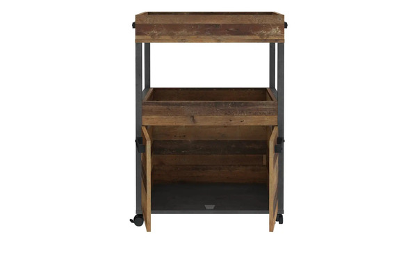 Bild 3 von Barwagen Woody