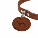 Bild 3 von Hunter Halsband Aalborg cognac XS