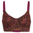 Bild 1 von Icebreaker
              
                 W QUEENS CLASP BRA Damen - Sport BH