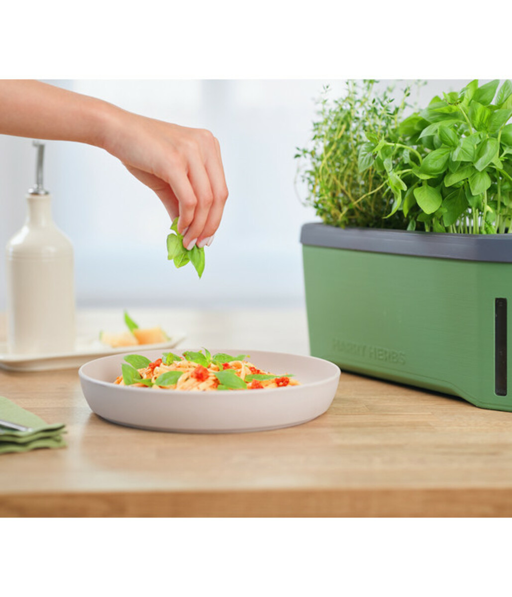 Bild 3 von Gusta Garden Kräutertopf Harry Herbs, ca. B36/H16/T15 cm