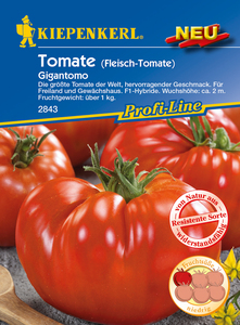 Fleisch-Tomate Gigantomo F1, die größte Tomate der Welt, hervorragender Geschmack, für Freiland und Gewächshaus