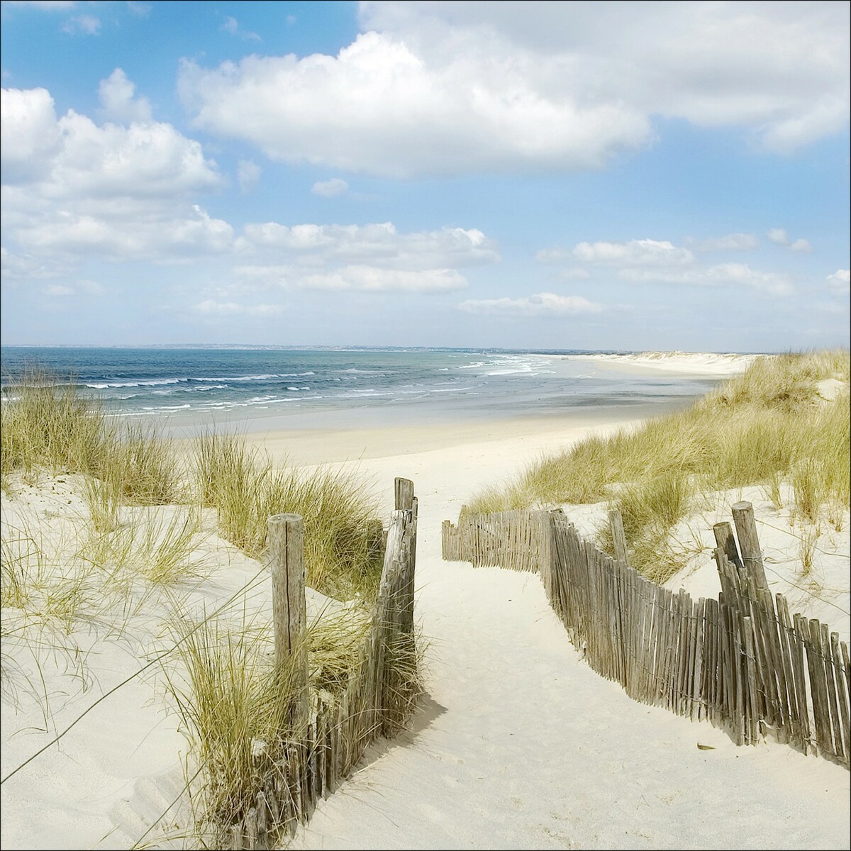 Bild 1 von Glas-Art Sommertag II 30 cm x 30 cm