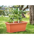 Bild 3 von Gusta Garden Paprika-Rankhilfe Chili Buddy, ca. B34/H64/T19 cm