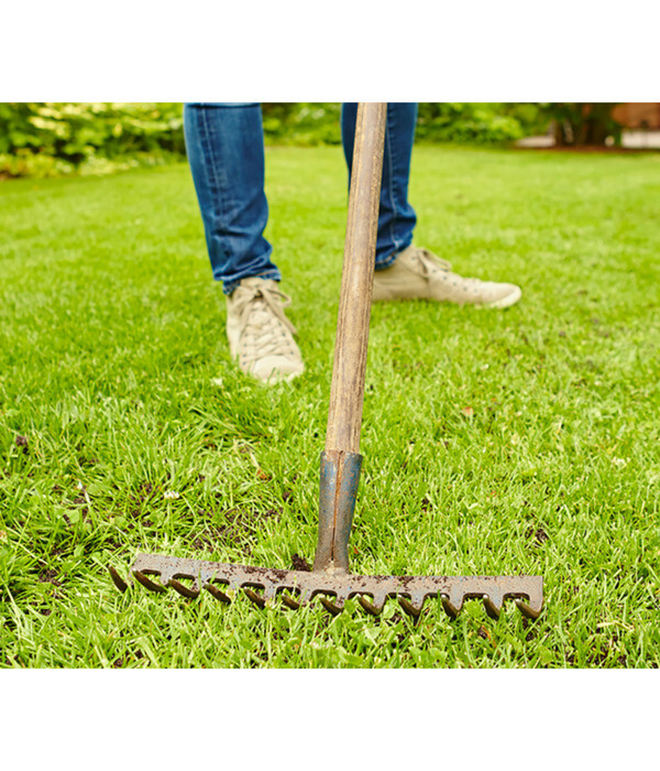 Bild 2 von Floragard 4in1 Rasenfit