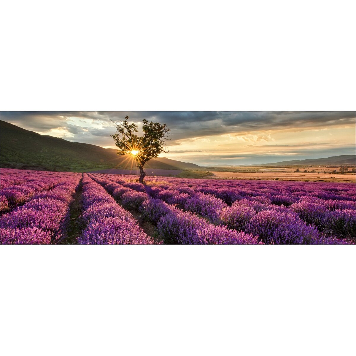 Bild 1 von Glas-Art Silence 50 cm x 125 cm