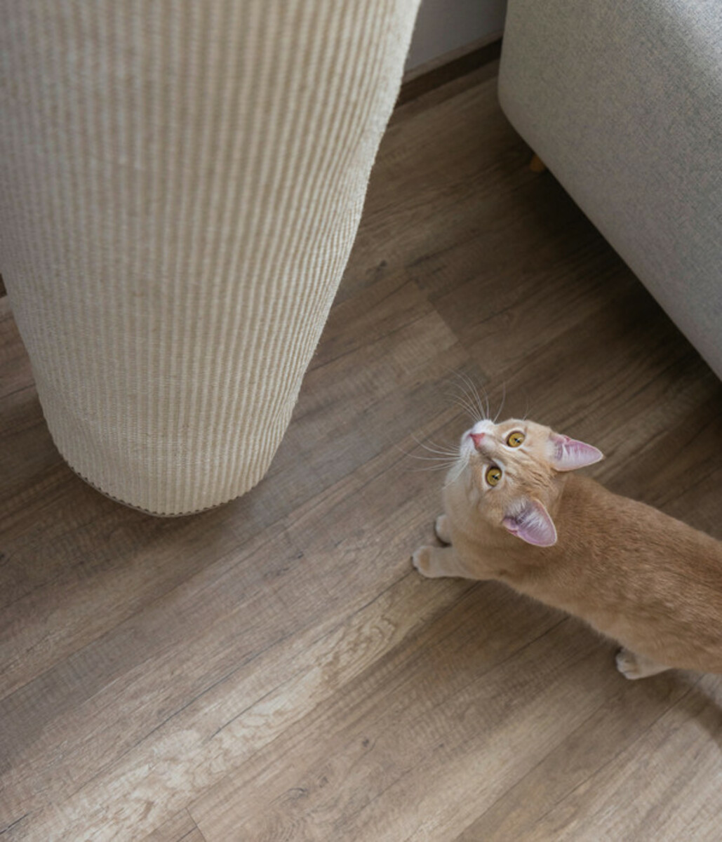 Bild 4 von KERBL Pet Klettersack Climber Mini, ca. Ø25/H100 cm