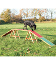 Bild 3 von Trixie Agility Steg Fun, ca. B30/H64/T456 cm