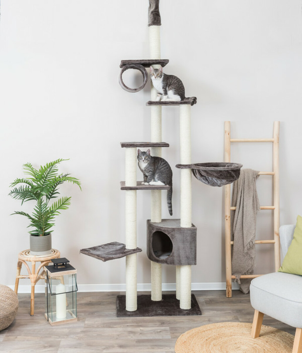 Bild 2 von Trixie Kratzbaum Madrid, grau, ca. B68/H245-270/T44 cm