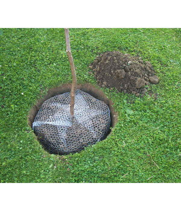 Bild 3 von Wühlmauskorb