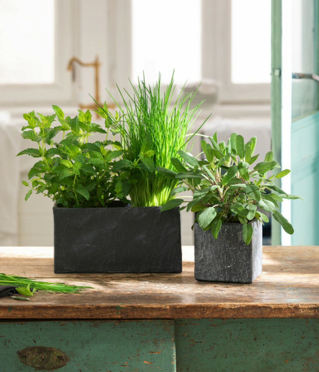 Bild 3 von Dehner Zement-Übertopf Slate, eckig, grau