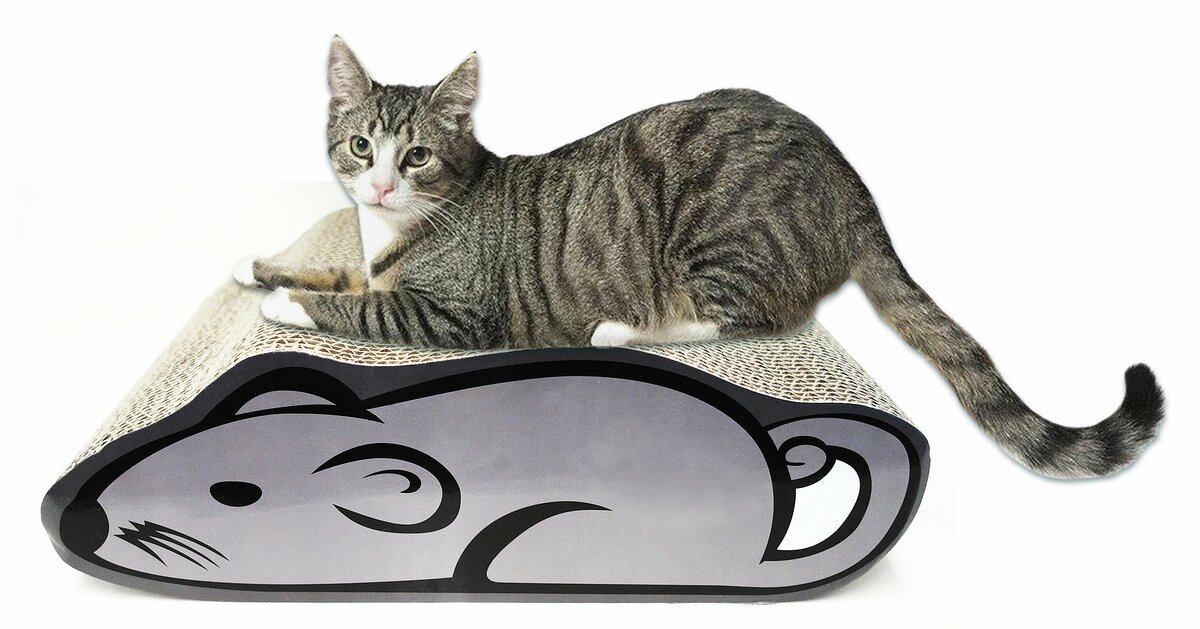 Bild 1 von Katzenkratzbrett 'Maus' mit Katzenminze