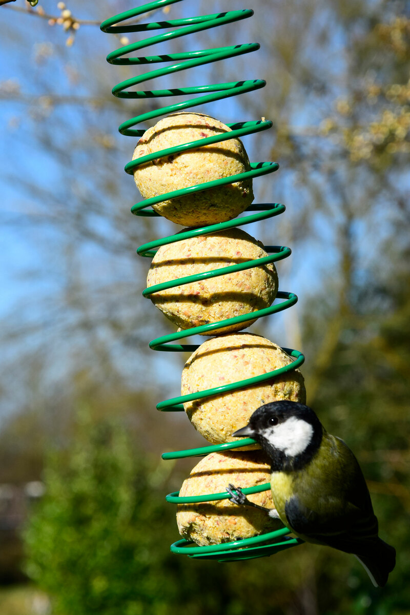 Bild 1 von dobar Meisenknödel 100 Stück a 90g Tierfutter Vogelfutter