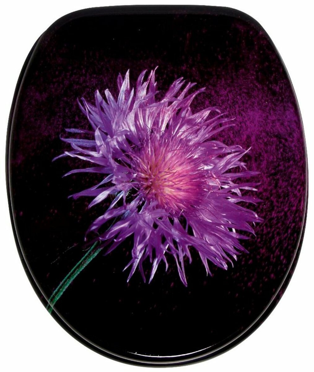 Bild 1 von Sanilo WC-Sitz Purple Dust, mit Absenkautomatik
