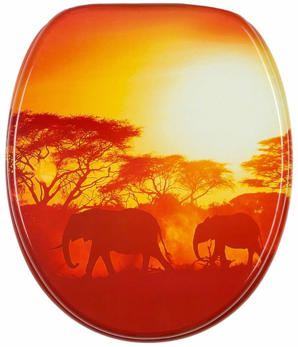 Bild 1 von Sanilo WC-Sitz Savanne, mit Absenkautomatik