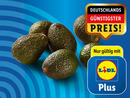 Bild 1 von Avocado, 
         700 g