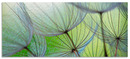 Bild 1 von Artland Küchenrückwand "Pusteblumen-Samen II", (1 tlg.), Alu Spritzschutz mit Klebeband, einfache Montage