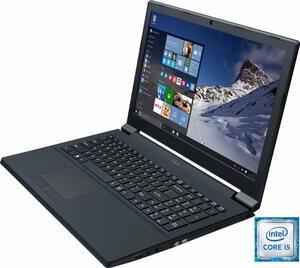 Hyrican Notebook 1630 Notebook (39,62 cm/15,6 Zoll, Intel Core i5 i5 Pozessor 9600T, UHD, 480 GB SSD, 15)