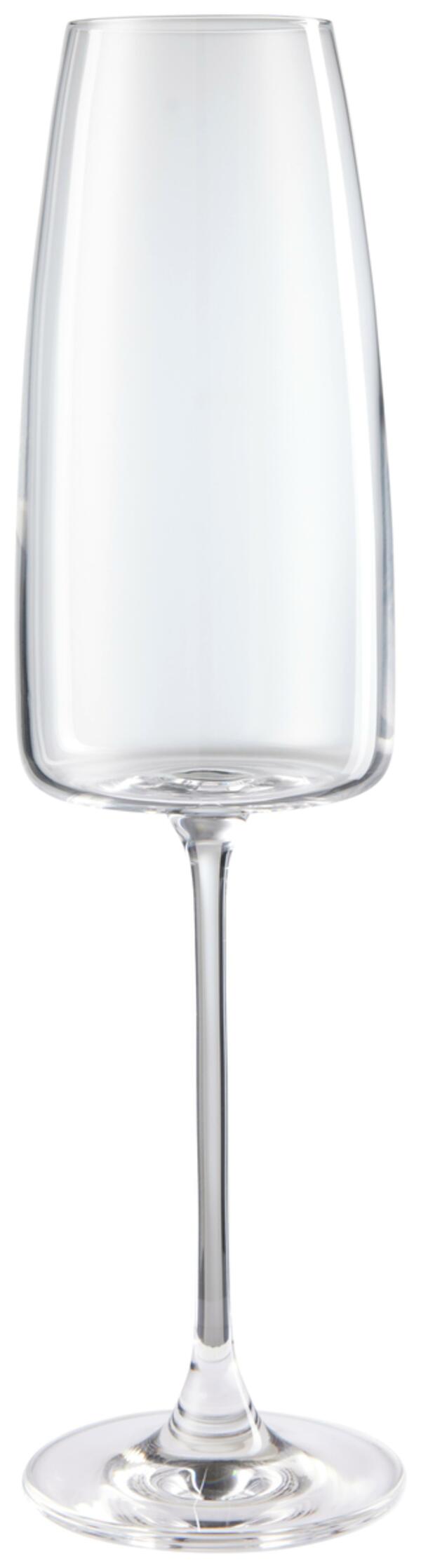 Bild 1 von Sektglas Kiki in Transparent ca. 340 ml, Transparent