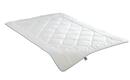 Bild 1 von IRISETTE Leicht-Steppbett ¦ weiß ¦ Maße (cm): B: 200 H: 2 Heimtextilien > Bettwaren > Bettdecken - Sconto