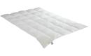Bild 1 von IRISETTE Leicht-Steppbett ¦ weiß ¦ Maße (cm): B: 200 H: 2 Heimtextilien > Bettwaren > Bettdecken - Sconto