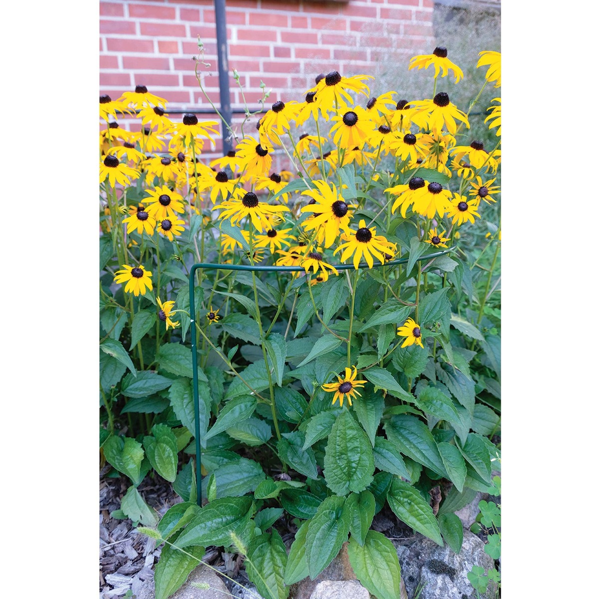 Bild 1 von Buschstütze 100 cm grün