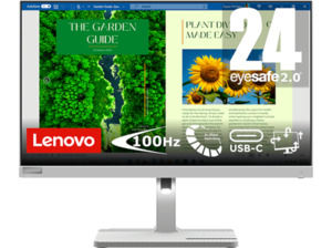 LENOVO L24m-40 23,8 Zoll Full-HD Monitor (4 ms Reaktionszeit, 100 Hz)