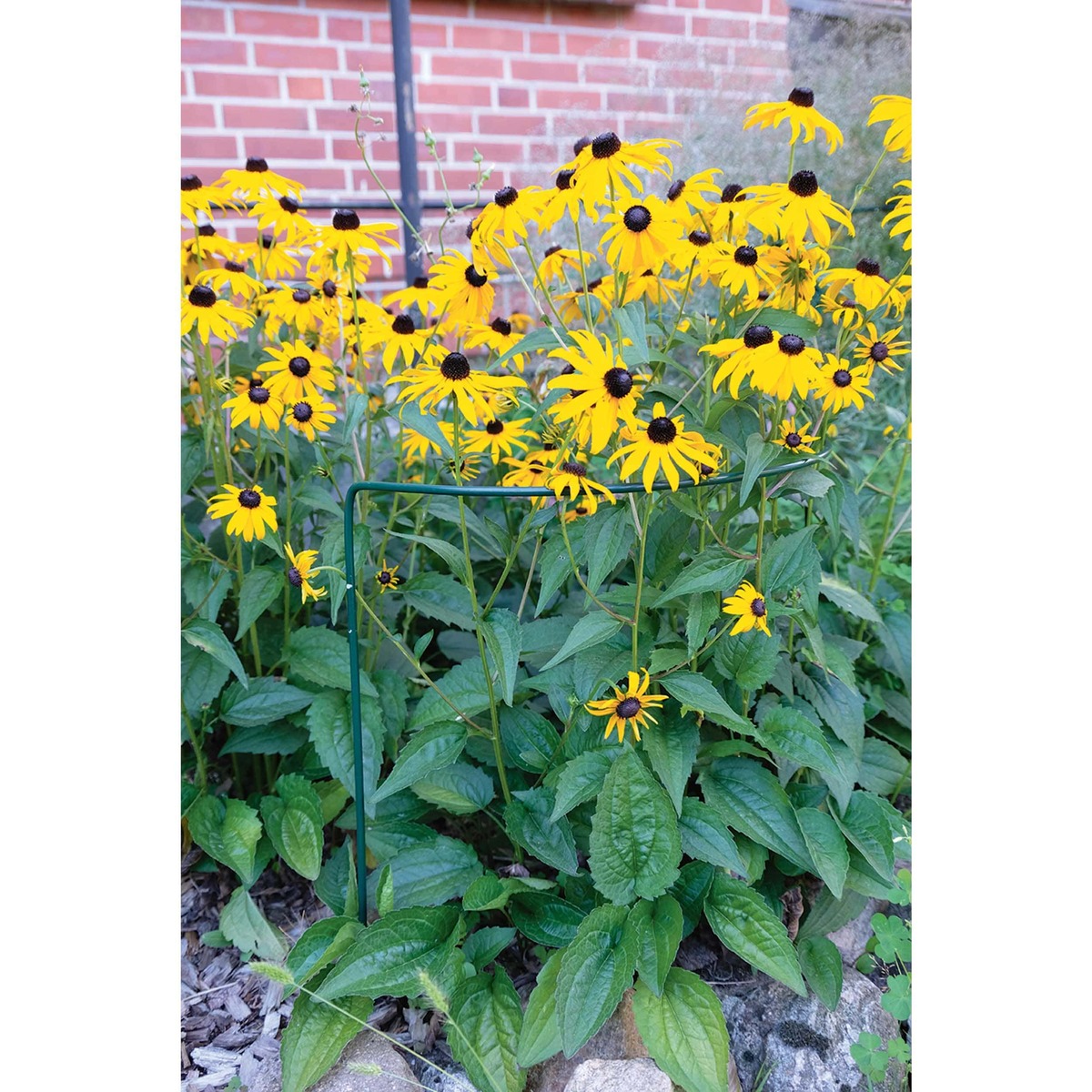 Bild 1 von Buschstütze 70 cm grün