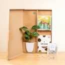 Bild 1 von Green Party Box
