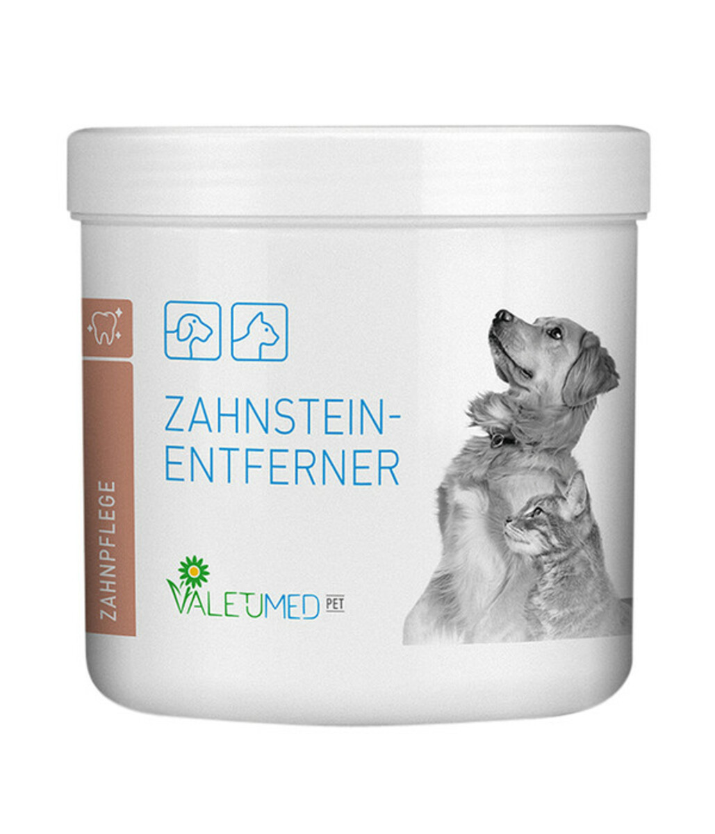 Bild 1 von VALETUMED Zahnsteinentferner, 300 g