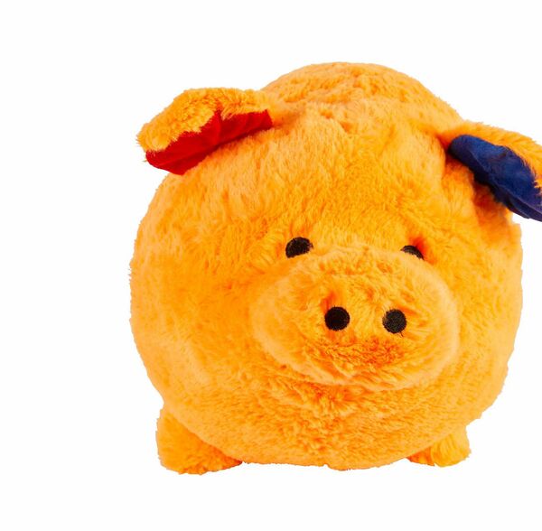 Bild 2 von „Funky Piggy family“ Plüschtiere